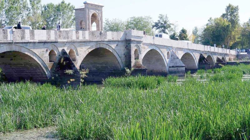 KURAKLIKLA KARŞI KARŞIYA KALAN TUNCA NEHRİ OT VE SAZLIKLARLA KAPLANDI