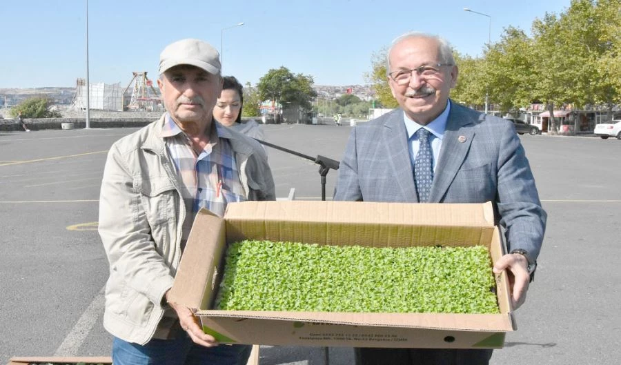 BÜYÜKŞEHİRDEN, ÜRETİCİLERE FİDE DESTEĞİ