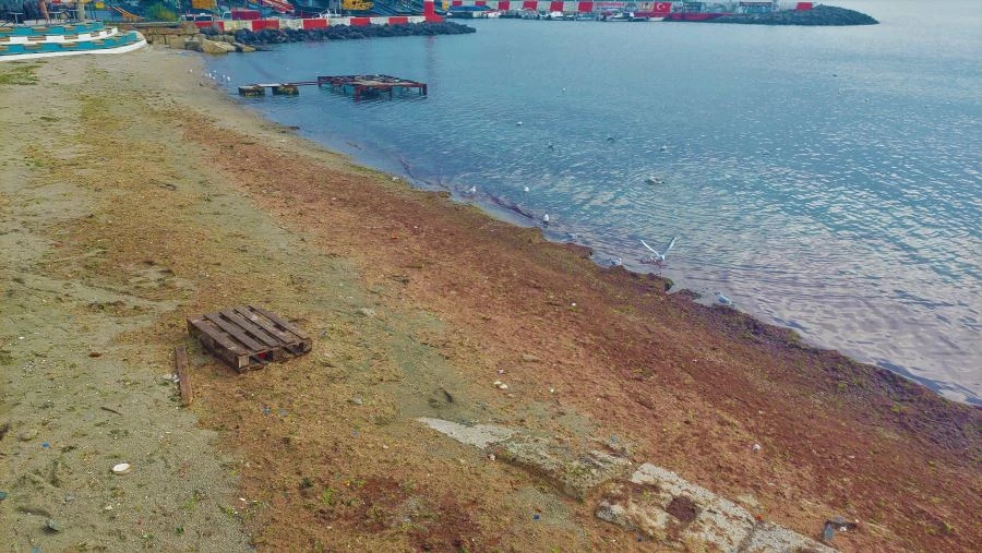 FIRTINA TEKİRDAĞ SAHİLLERİNİ KIZILA BOYADI