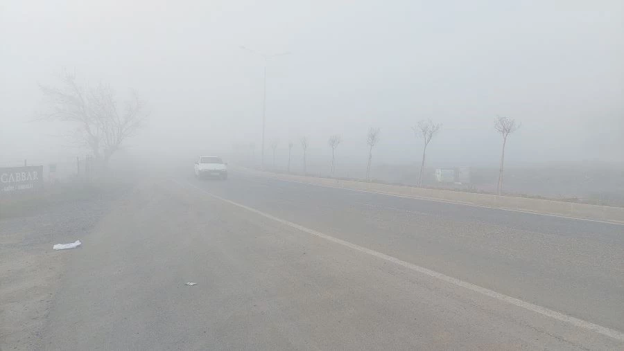 TEKİRDAĞ’DA SİS ETKİLİ OLDU