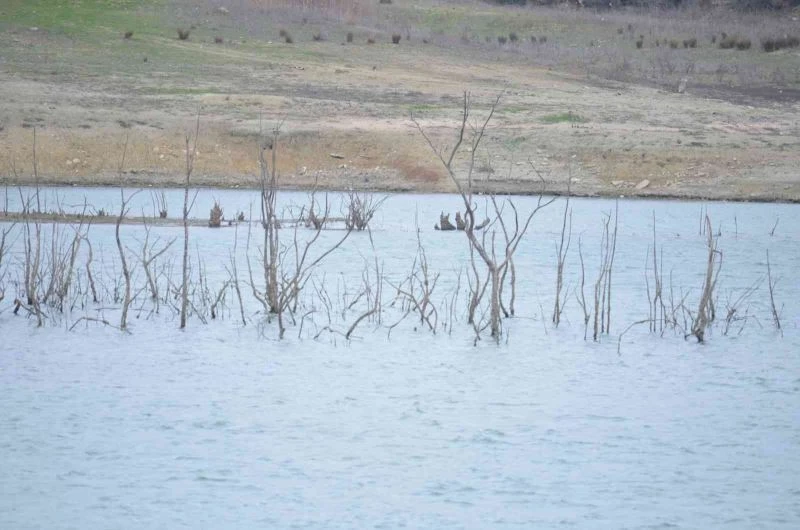 50 YILDIR BÖYLE KURAKLIK GÖRÜLMEDİ