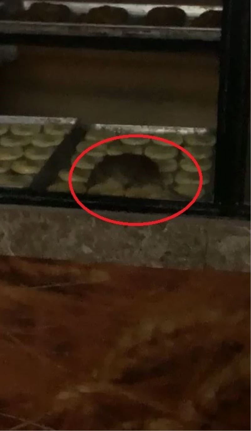VİTRİNİNDE FARE GEZEN FIRINA CEZAİ İŞLEM UYGULANDI