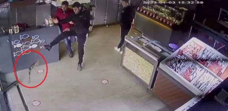 BALIKÇIYA GİREN ATMACA DEHŞET YAŞATTI: O ANLAR KAMERAYA YANSIDI