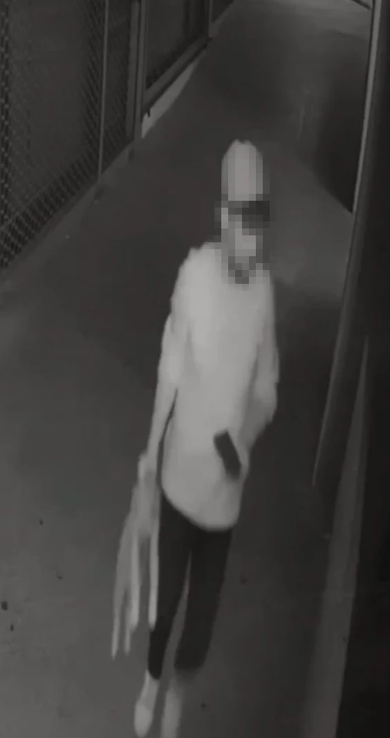 YAVRU KÖPEĞİ ÖLDÜREN SANIK İÇİN KARAR ÇIKTI