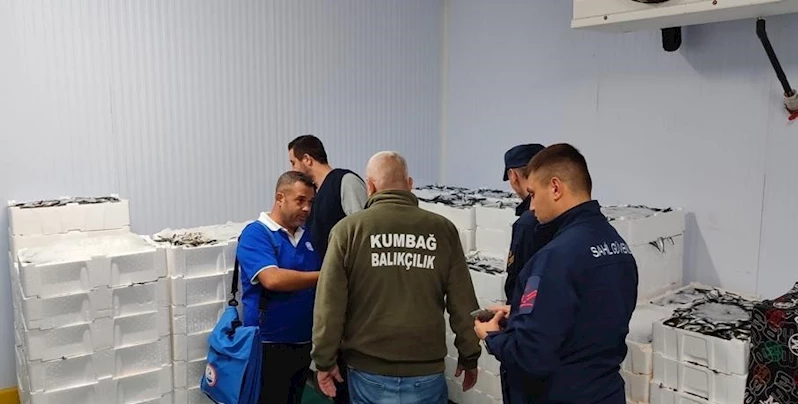 BALIKÇILARA EŞ ZAMANLI DENETİM