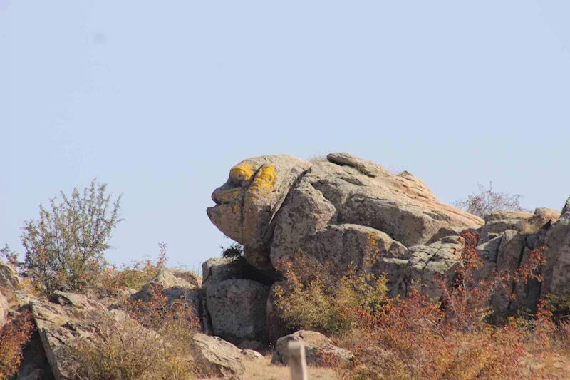 O KAYA GÖRENLERİ ŞAŞIRTIYOR