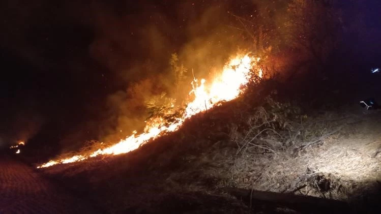 YANGIN TREN YOLUNA SIÇRADI, ULUSLARARASI LOJİSTİK TREN SEFERİ DURDU