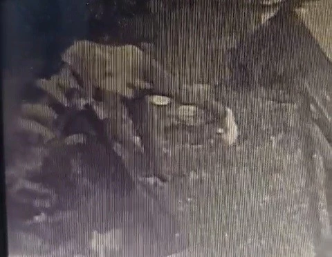 TRAFO HIRSIZI ÖNCE KAMERAYA SONRA POLİSE YAKALANDI