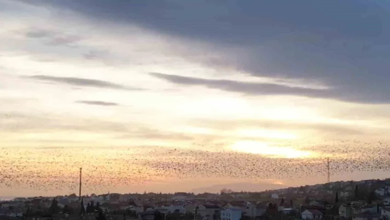 TEKİRDAĞ SEMALARINDA MUHTEŞEM DANS