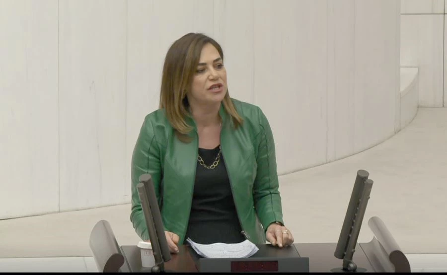 CHP MİLLETVEKİLİ YÜCEER, REFAKATSİZ ÇOCUKLARI MECLİS GÜNDEMİNE TAŞIDI