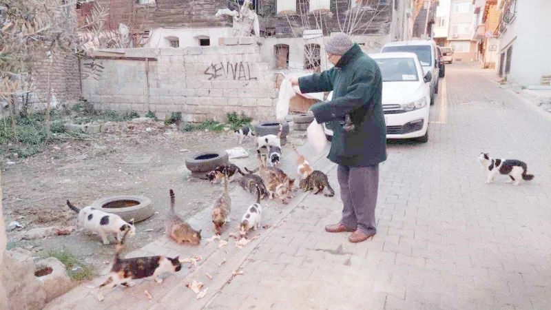 TEKİRDAĞ’DA KEDİ SOKAĞI
