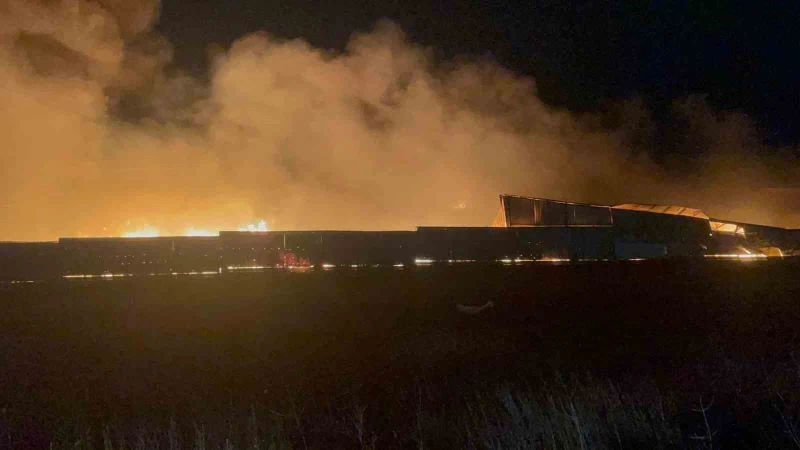 TEKİRDAĞ’DA PALET VE ÇİĞKÖFTE FABRİKASINDA YANGIN