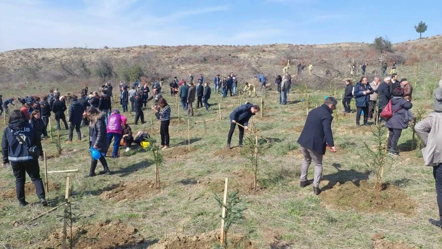 DEPREM ŞEHİTLERİ İÇİN 30 BİN FİDAN TOPRAKLA BULUŞUYOR