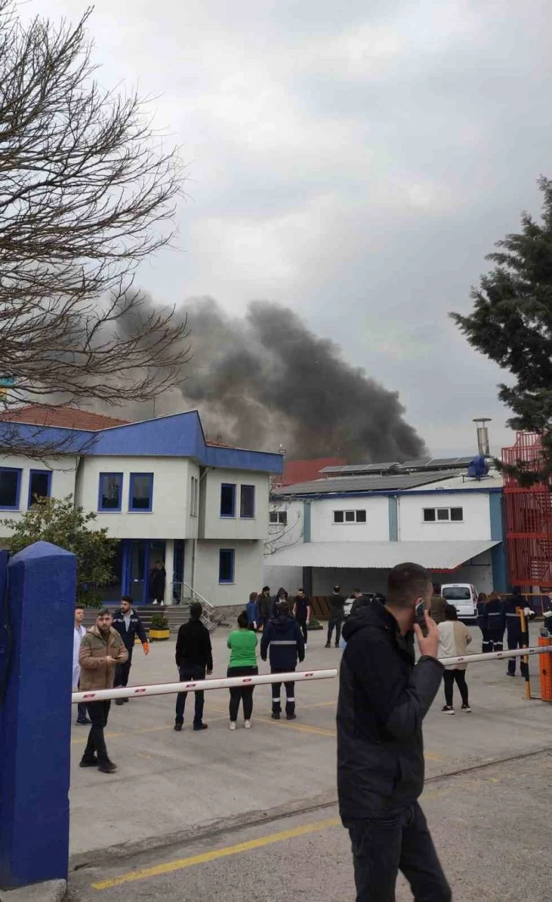 KİMYA FABRİKASINDA PATLAMA SONRASI YANGIN