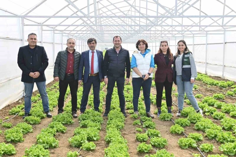 TARIM VADİSİ YEŞİLLENİYOR