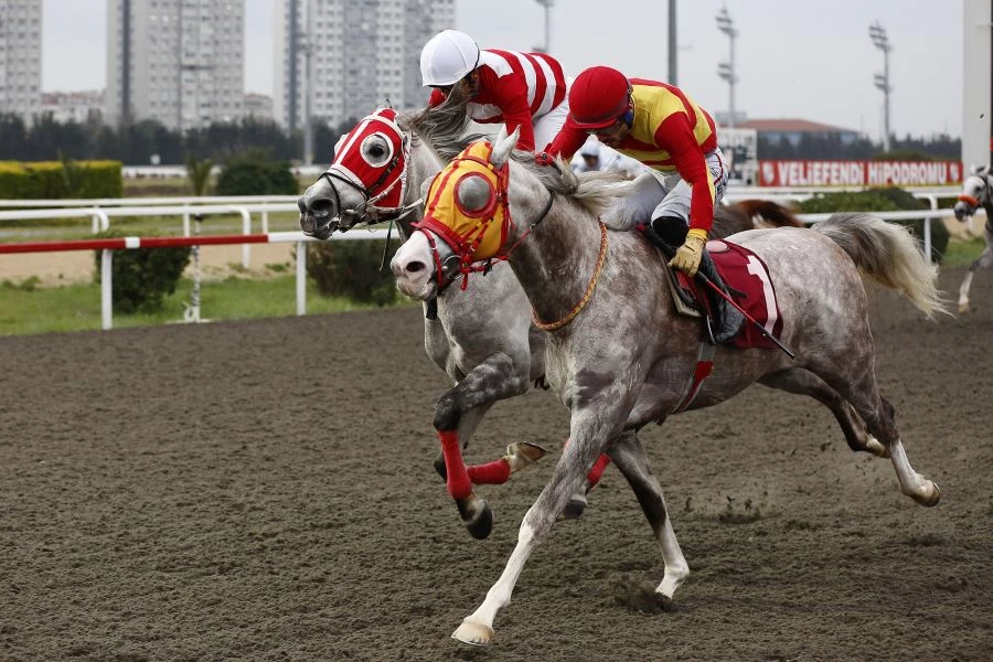 VELİEFENDİ’DE ATLAR ÇORLU İÇİN KOŞTU
