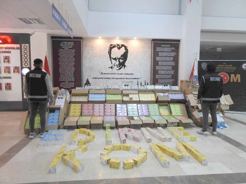 GÜMRÜK KAÇAĞI ÜRÜNLERİ TAŞIYAN TIR SÜRÜCÜSÜ TUTUKLANDI