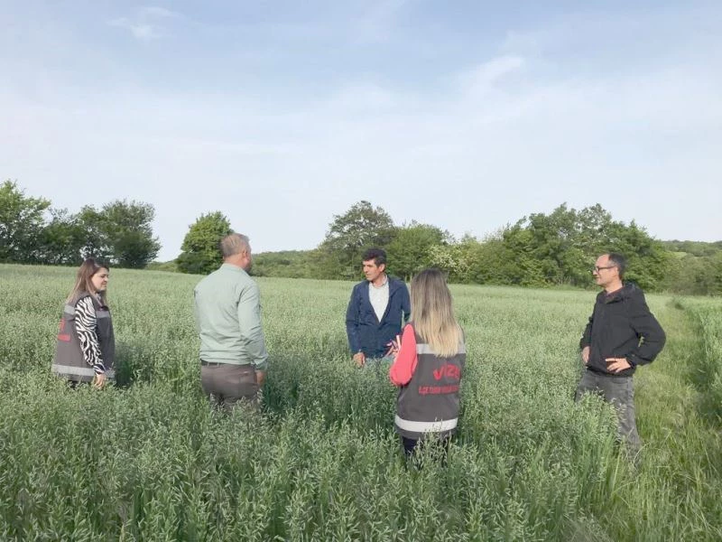 YERLİ YULAF ÇEŞİTLERİ İNCELENDİ