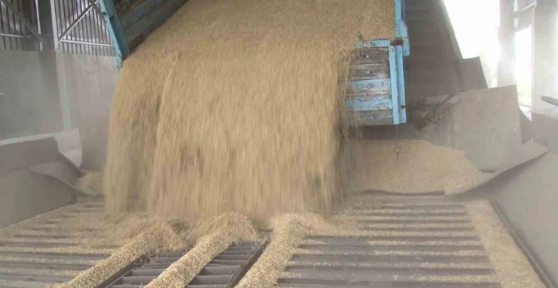 TMO TARAFINDAN ARPA ALIMI BAŞLADI