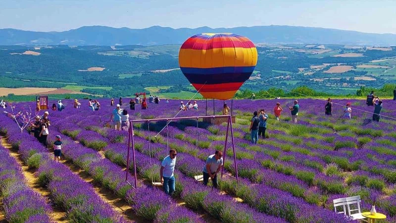 TEKİRDAĞ’DA MOR ŞENLİK