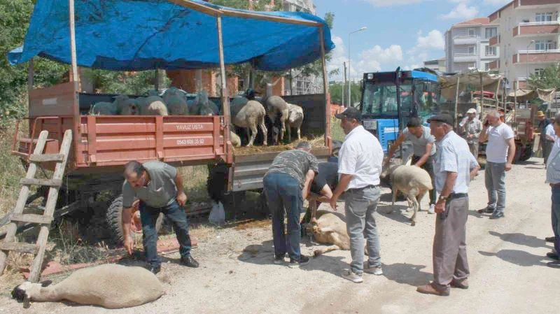 KIRKLARELİ’NDE KURBANLAR ALICISINI BEKLİYOR