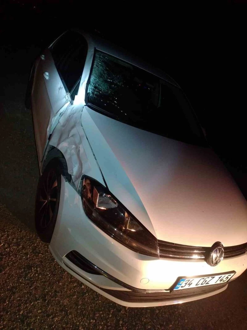 OTOMOBİLİN ÇARPTIĞI YAYA HAYATINI KAYBETTİ