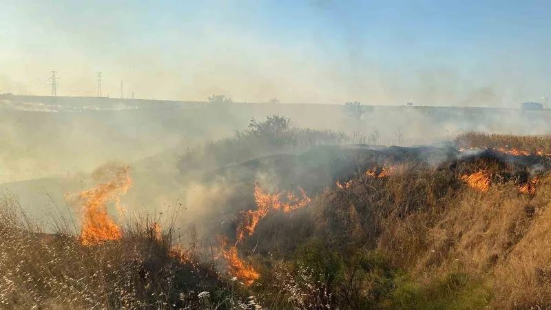 100 DÖNÜM ANIZ CAYIR CAYIR YANDI
