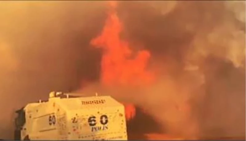 POLİS BU SEFER DE ORMANDAKİ ALEVLERLE MÜCADELE ETTİ