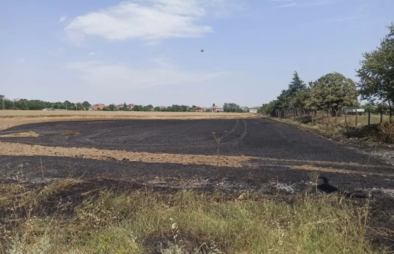 BUĞDAY TARLASINDA YANGIN: 12 DÖNÜME YAKIN ALAN KÜLE DÖNDÜ