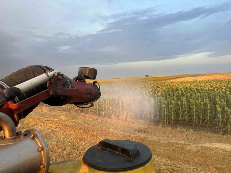 ÇEKİRGE İSTİLASINA KARŞI İLAÇLAMA ÇALIŞMASI BAŞLATILDI