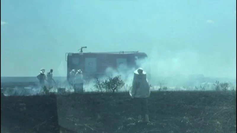 100 ARI KOVANI YANARAK KÜL OLDU