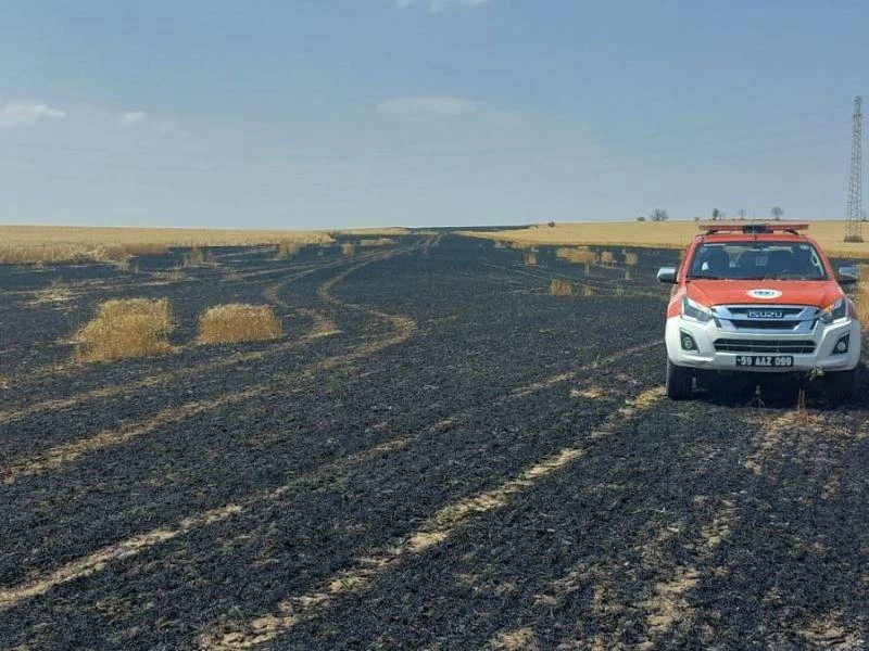 TEKİRDAĞ’DA 15 DÖNÜM BUĞDAY ALEVLERE TESLİM OLDU