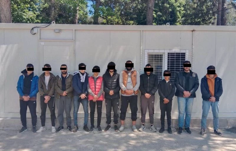 171 KAÇAK GÖÇMEN JANDAMA