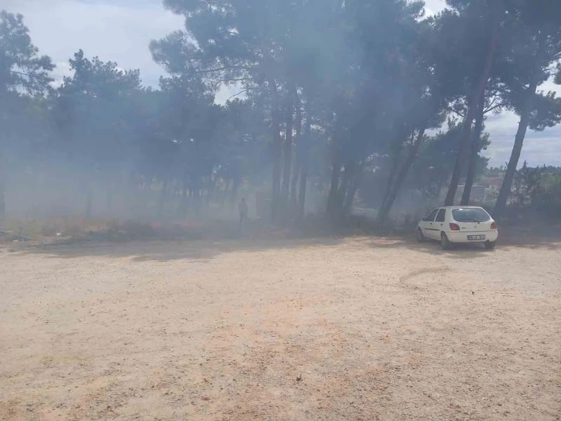 HASTANE BAHÇESİNDE YANGIN