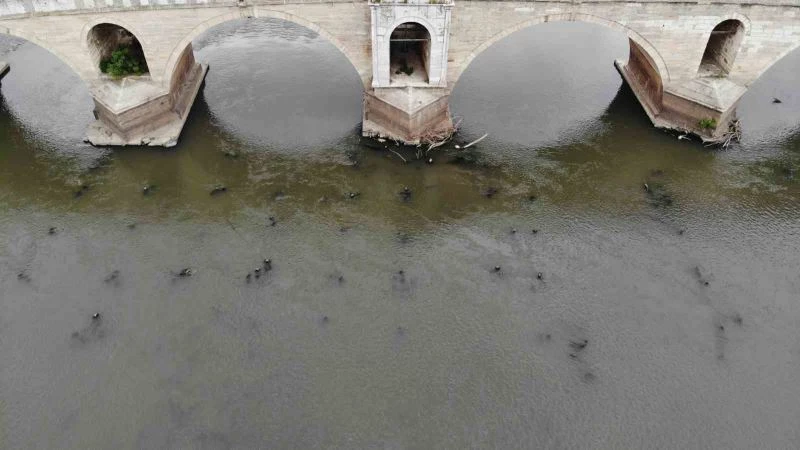 MERİÇ NEHRİ’Nİ KURAKLIK VURDU: TARİHİ AHŞAP KÖPRÜNÜN AYAKLARI GÜN YÜZÜNE ÇIKTI