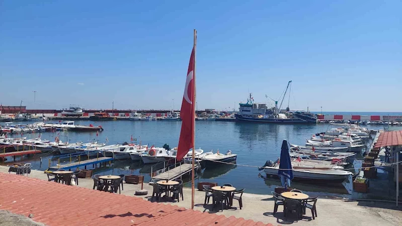 TAYFALARDA 1 EYLÜL HEYECANI: HAMSİ VE LÜFER BOLLUĞU BEKLENİYOR