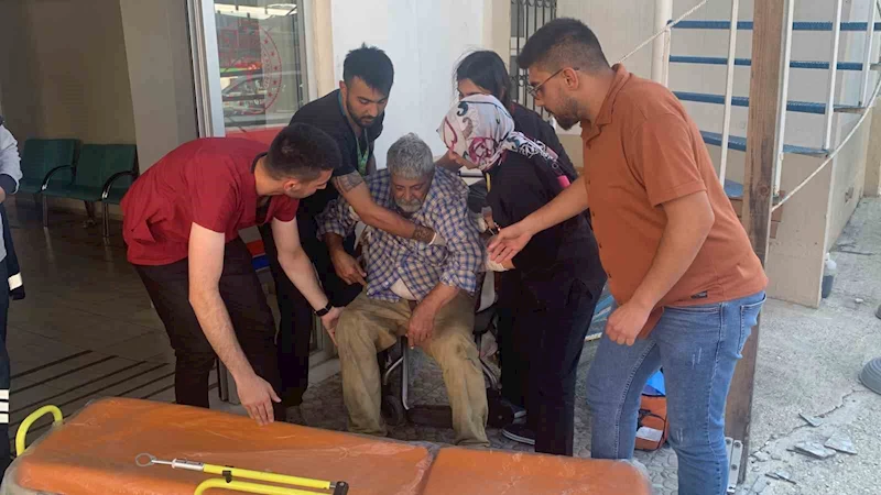 HASTANENİN BAHÇESİNDE YAŞAM MÜCADELESİ