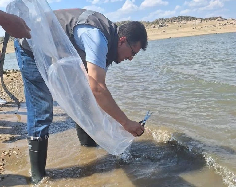 BALIKLANDIRMA ÇALIŞMASI