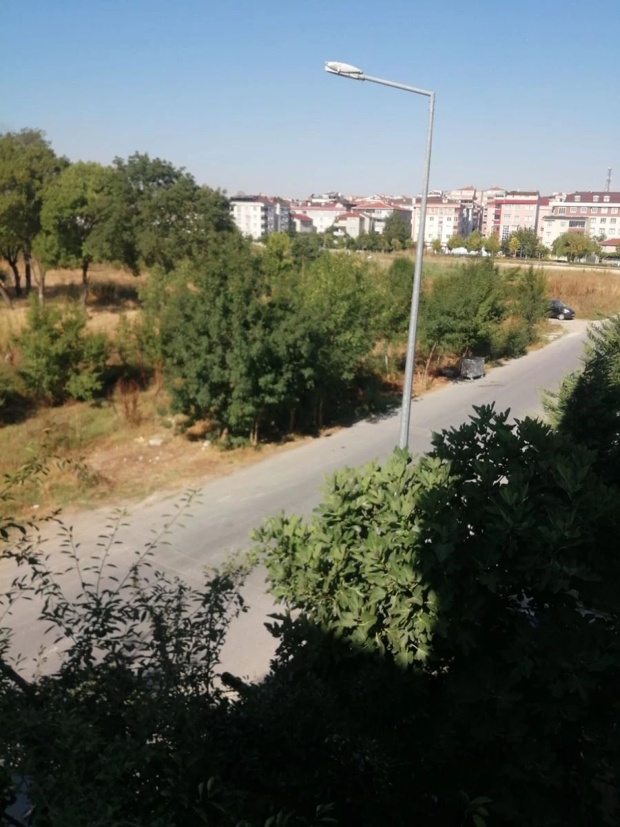 VATANDAŞLARI YILAN KORKUSU ALDI