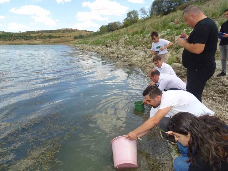 TEKİRDAĞ’DA GÖLETLERE YARIM MİLYON SAZAN SALINDI