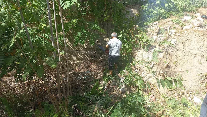 TARİHİ BİZANS SURLARI OTLARDAN TEMİZLENİYOR