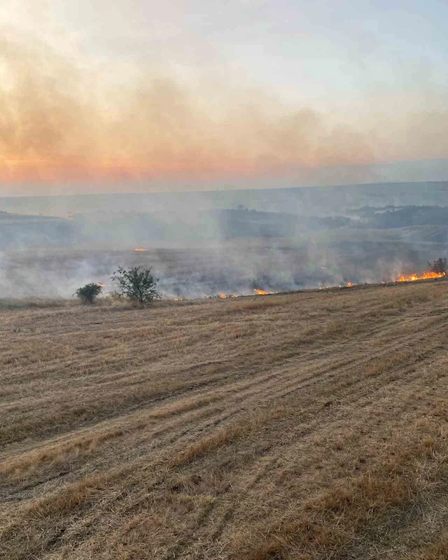 BUĞDAY TARLASINDA YANGIN
