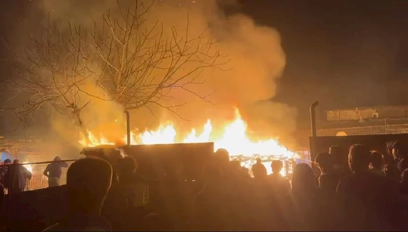 HAYVAN KULÜBELERİNDE YANGIN: 1 AT VE 1 KÖPEK TELEF OLDU