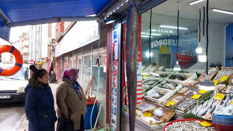 DEV BALIK İLGİ ÇEKTİ