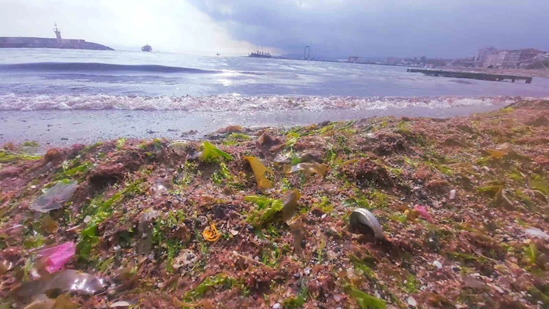 LODOS KIYILARI KIZILA BOYADI