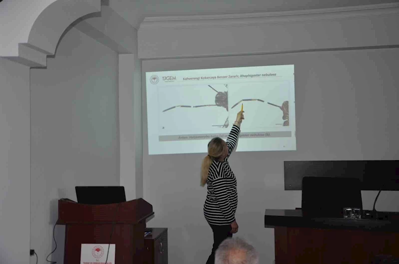 KAHVERENGİ KOKARCA İLE MÜCADELE YILI