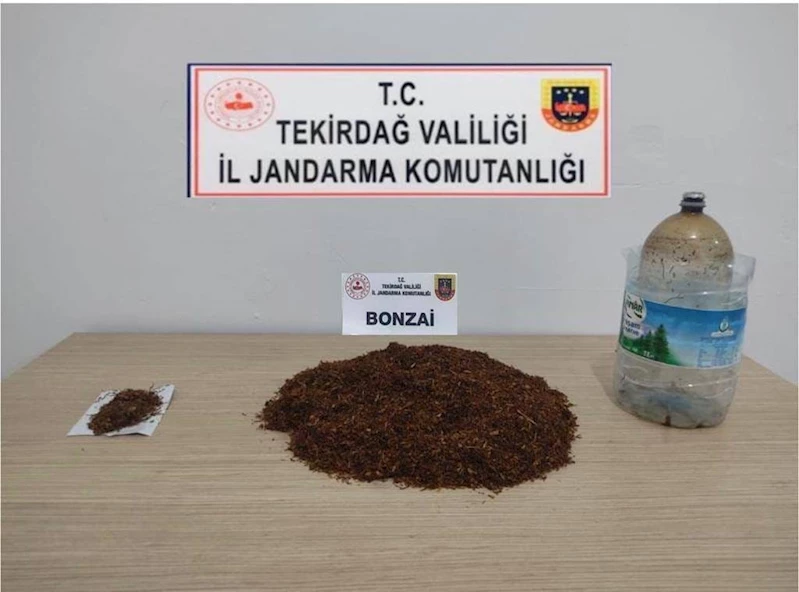 BONZAİ, ESRAR VE TABANCALAR YAKALANDI