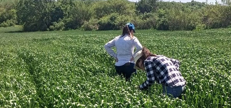SÜNE İLE MÜCADELE BAŞLADI