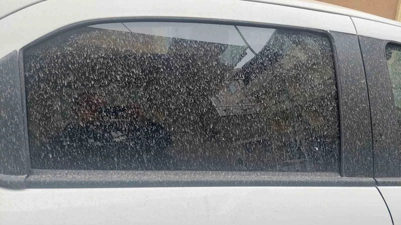 GÖKTEN ÇAMUR YAĞDI