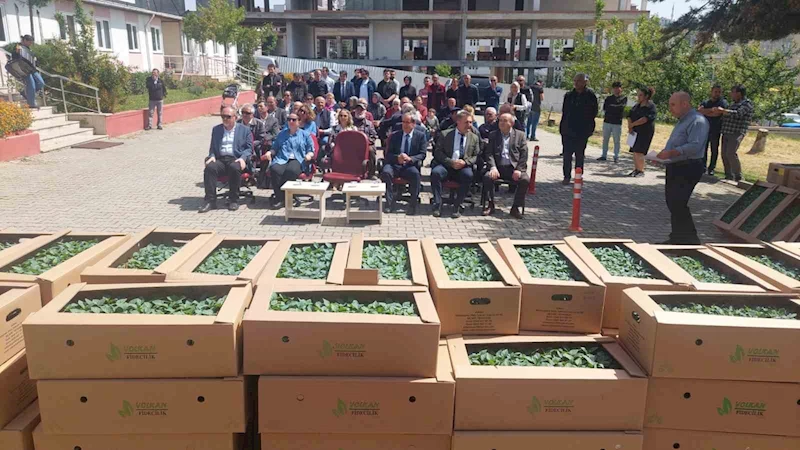 BOSTAN FİDELERİ DEVLETTEN